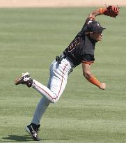 Shinjo throws out Chicago's Alou